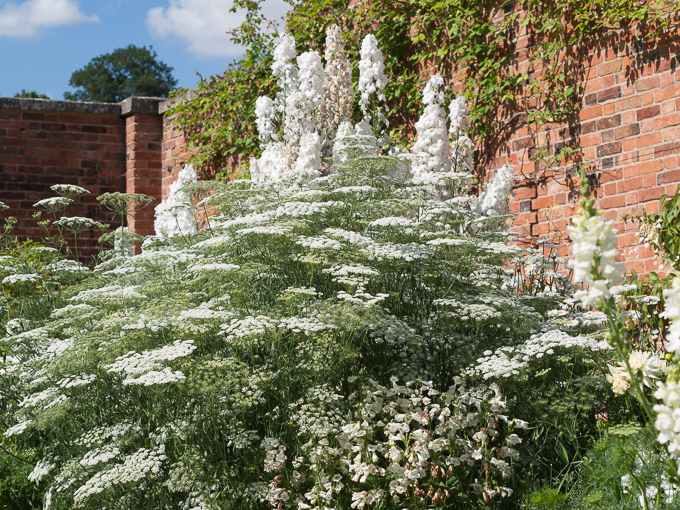 Clumber 2013 (23)